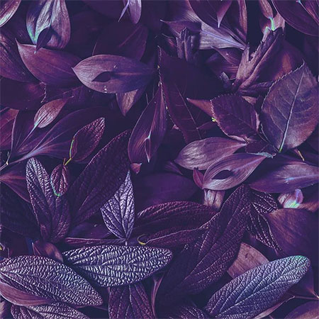 دانلود آهنگ دختر خاله مرتضی رضایی